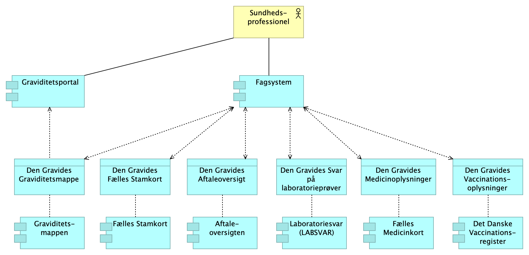 Princip for adgang til Graviditetsmappen via Graviditetsportalen